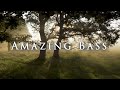 Amazing Bass (Singing With a Cold)