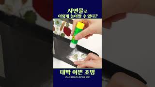 자연물로 만드는 전통등｜미술놀이｜우리나라 #유아교육 #어린이집 #유치원