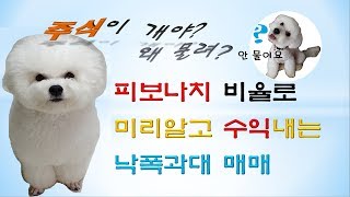 [웃지] 피보나치 비율로 미리알고 수익내는 낙폭과대 매매