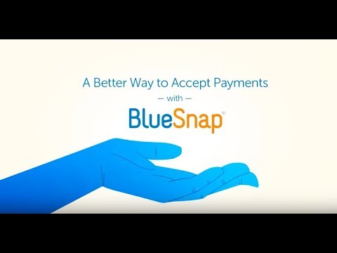 BlueSnap All-in-One Payment Platform - Global Online And Mobile ...