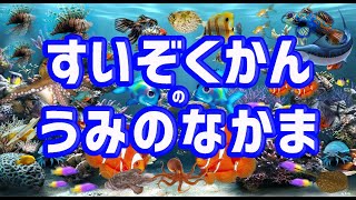 【水族館の海の仲間】子供が喜ぶ水族館と魚の名前を覚えよう☆魚の名前が分かる図鑑★ちんあなご・ダイオウグソクムシ・いるか・かじき・しゃち・まんた★未就学児向け教育｜Fish picture book.