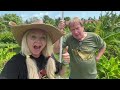 feeding huge crocodiles at the jamcroc sanctuary in jamaica‼️🇯🇲‼️