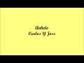 Anhelo (Desire) - Carlos Y Jose (Letra - Lyrics)