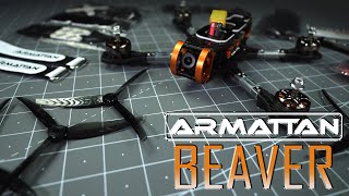 introducing ARMATTAN BEAVER - the wait is over!