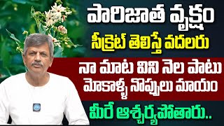 పారిజాతం వృక్షం సీక్రెట్ తెలిస్తే వదలరు | Health Benefits of Parijatham Leaves | B Anjaneya Raju