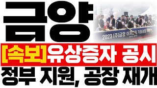 [금양 주가전망]🔥속보🔥유상증자, 공시! 정부 지원한다! 기장공장 공사 재개! #2차전지 #금양 #트럼프