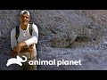 Frank reta a rudos pandilleros a encontrar una serpiente | Wild Frank en California | Animal Planet