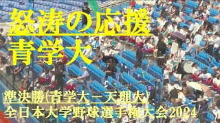 青学大応援団　怒涛の応援　準決勝(青山大－天理大)　全日本大学野球選手権大会2024