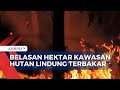 Belasan Hektare Kawasan Hutan Lindung di Gunung Prongos Ponorogo Terbakar