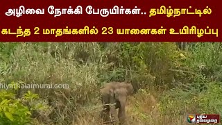 அழிவை நோக்கி பேருயிர்கள்.. தமிழ்நாட்டில் கடந்த 2 மாதங்களில் 23 யானைகள் உயிரிழப்பு | PTT