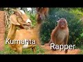 napakagaling mag rap at mag kanta ng kambing at mongkey