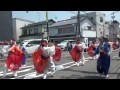 爽郷やまもと連2015　笑唄～waraiuta～　第62回高知よさこい祭り　万々競演場 2