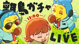 【あつ森】#8｜うつろい島新シーズン🌟住民探しの離島ガチャ🏝️ 【生配信】