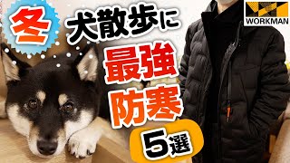 【ワークマン】最強？真冬の犬との夜散歩 防寒アイテム5選【エアロストレッチアルティメットフーデッドパーカー2021】