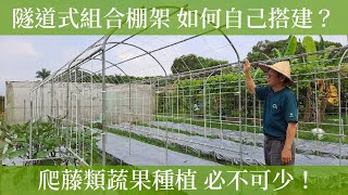 隧道式組合棚架DIY，穩固耐用，搭一次用十年 | 阿星種植