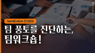 팀 풍토를 진단하는, 팀워크숍! | [공개세미나 다시보기] Team \u0026 Culture