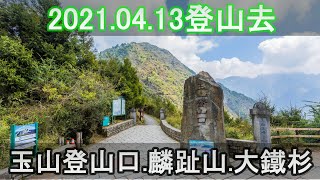 登山去 | 麟趾山 | 玉山登山口 | 塔塔加  |大鐵杉