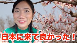 日本に住んだからこそわかる母国のカルチャーショック！日本に来て良かった！（カルチャーショック）【ジェムチャンネル】