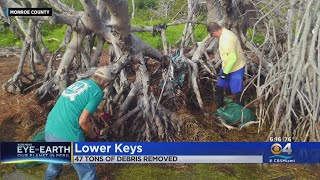 47 Tons Of Debris Removed From Lower Florida Keys Shorelines