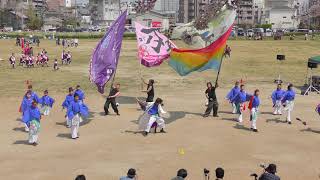 「きらら岡崎桜」どまつり夜桜in岡崎2019