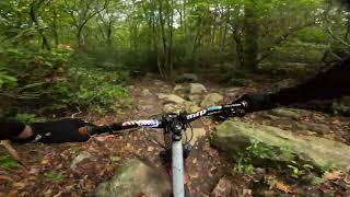 Pomfret Forest ride