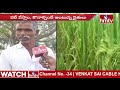 వరంగల్ జిల్లాలో 4 లక్షల ఎకరాల్లో వరి సాగు warangal dist paddy grain farmer problems hmtv