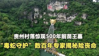 貴州發現500年前苗王墓，“巨蛇守護”無人靠近，專家揭秘險喪命 #鉴证史者 #古董 #開棺 #古墓 #考古發現