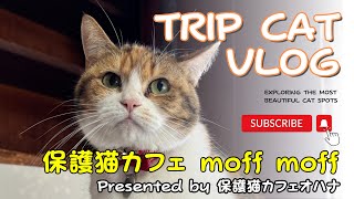 【ネコトリ】保護猫カフェとシャンプー台と猫と美味しいコーヒー