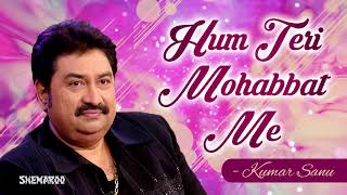 Hum Teri Mohabbat Mein | Phool Aur Angaar | Mithun Chakraborty | Kumar Sanu & Sadhana Sargam Hits
