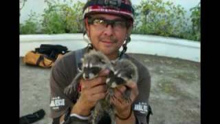 SmART Rescue #11-36 \u0026 #11-38.mp4