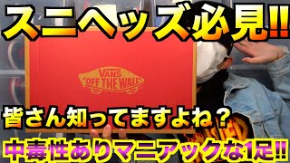 【スニーカー紹介・VANS】スニーカー好きは絶対知ってますよね!?中毒性アリアリ!?な1足をご紹介!!