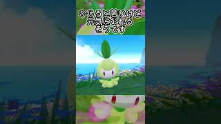 【疲れた人向け】チュリネ6匹とピクニック【ポケモンSV】#Shorts