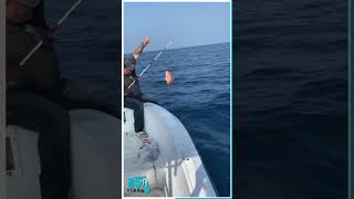 Catching fish hand over fist |w/850 fishing| #redsnapper