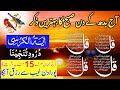 🔴Morning Dua | Surah Baqarah Last 2 Ayat | Ayatul Kursi | 4 Qul | Darood Tanjeena | Live