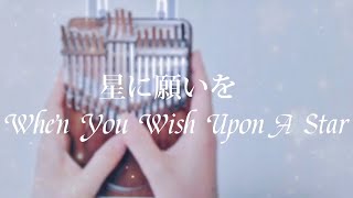 When You Wish Upon A Star「星に願いを」をカリンバで弾いてみた