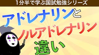 1分半で学ぶ国試勉強シリーズ「アドレナリンとノルアドレナリンの違いとは」作用や働きをわかりやすく解説！