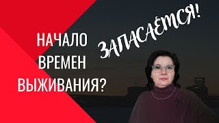 Еда и Витамины. Запасы на трудные времена.