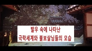 622. 발우 속에 나타난 극락세계와 불보살님들의 모습 (2025. 1. 3)