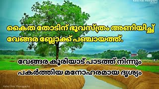 വേങ്ങര കൂരിയാട് പാടത്ത്‌ നിന്നും പകർത്തിയ മനോഹരമായ ദൃശ്യം