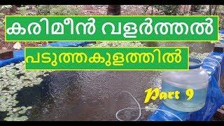 കരിമീൻ വളർത്തൽ പടുത്തകുളത്തിൽ Part 9