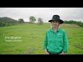 paddocks to pastures using the soilkee renovator multispecies pastures and rotational grazing