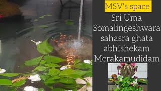 Sri Uma Somalingeshwara Sahasra Ghata Abhishekam || Merakamudidam || MSV's space ||