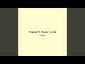 Fragments Fragile Sunset