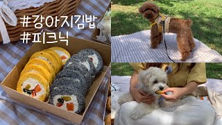 강아지 김밥 만들기 | 멍김밥 만들기 | 강아지 수제간식 만들기 | Homemade Dog Treats