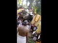 kalladathur devi temple pooram 2016 feb 19th