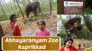 Abhayaranyam Zoo and Tourist Destination, Kaprikkad | Kodanad | Kochi| Kerala