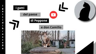 Aiutandoci con piccole donazioni,  potrai fare molto per questi simpatici animali.