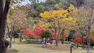 울산 입화산 가을 트래킹