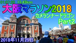 【Part2】第8回大阪マラソン2018【陸上未経験市民ランナー】Osaka marathon 2018【カメランナードラゴン】【コース紹介】