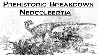 Prehistoric Breakdown: Nedcolbertia